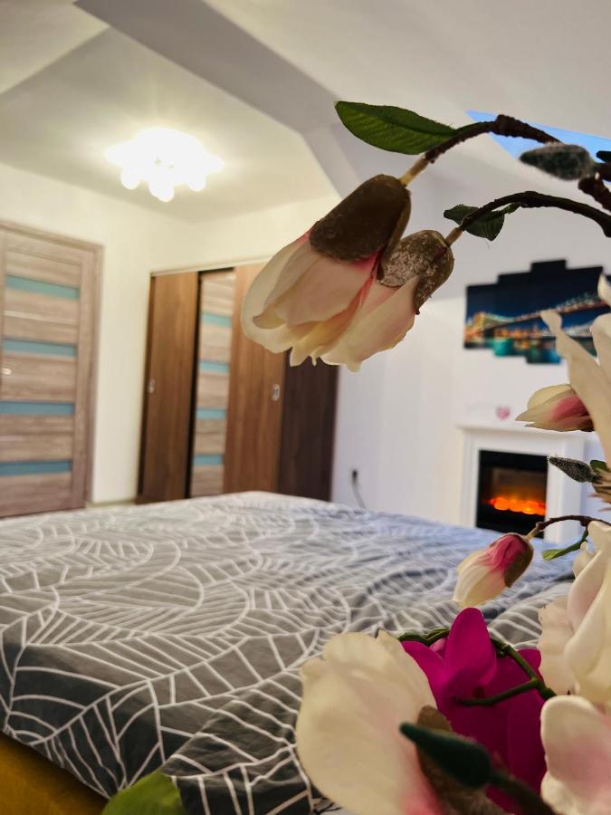 Zizi'S House Garii Apartment Brasov Ngoại thất bức ảnh