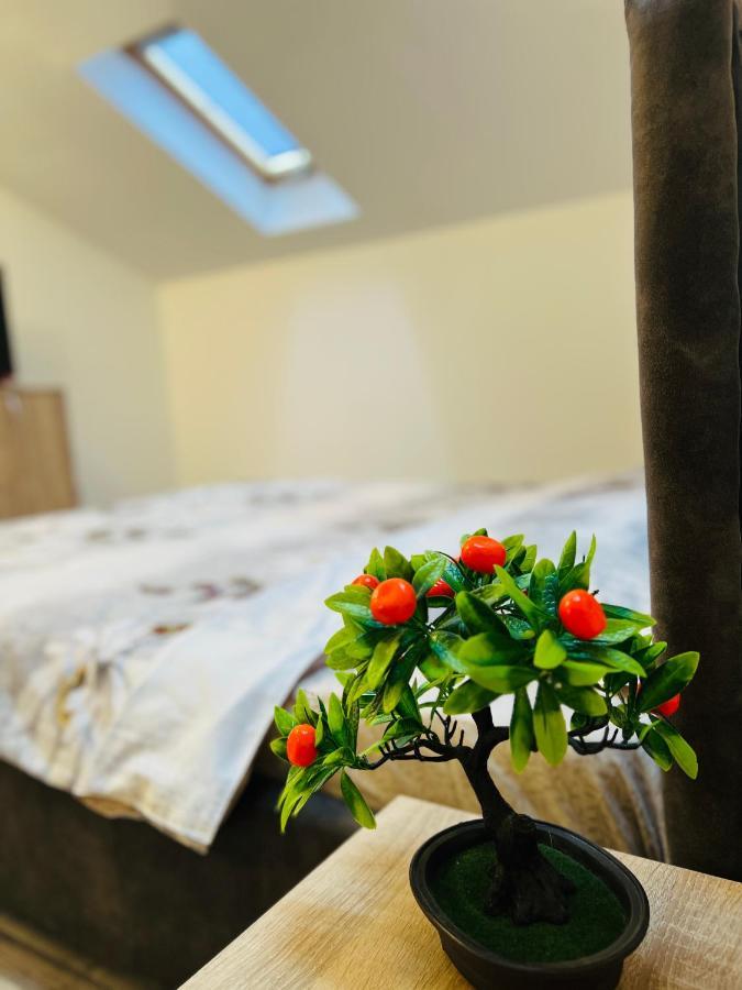Zizi'S House Garii Apartment Brasov Ngoại thất bức ảnh